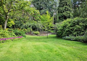 Optimiser l'expérience du jardin à La Ferriere-en-Parthenay